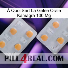 À Quoi Sert La Gelée Orale Kamagra 100 Mg 25